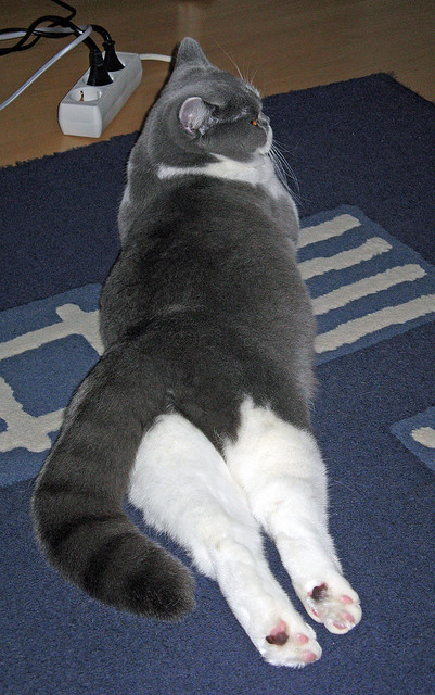 Kaiyun官方登录入口-“简阳文体中心迎接2025世界运动会，精彩运动开幕”