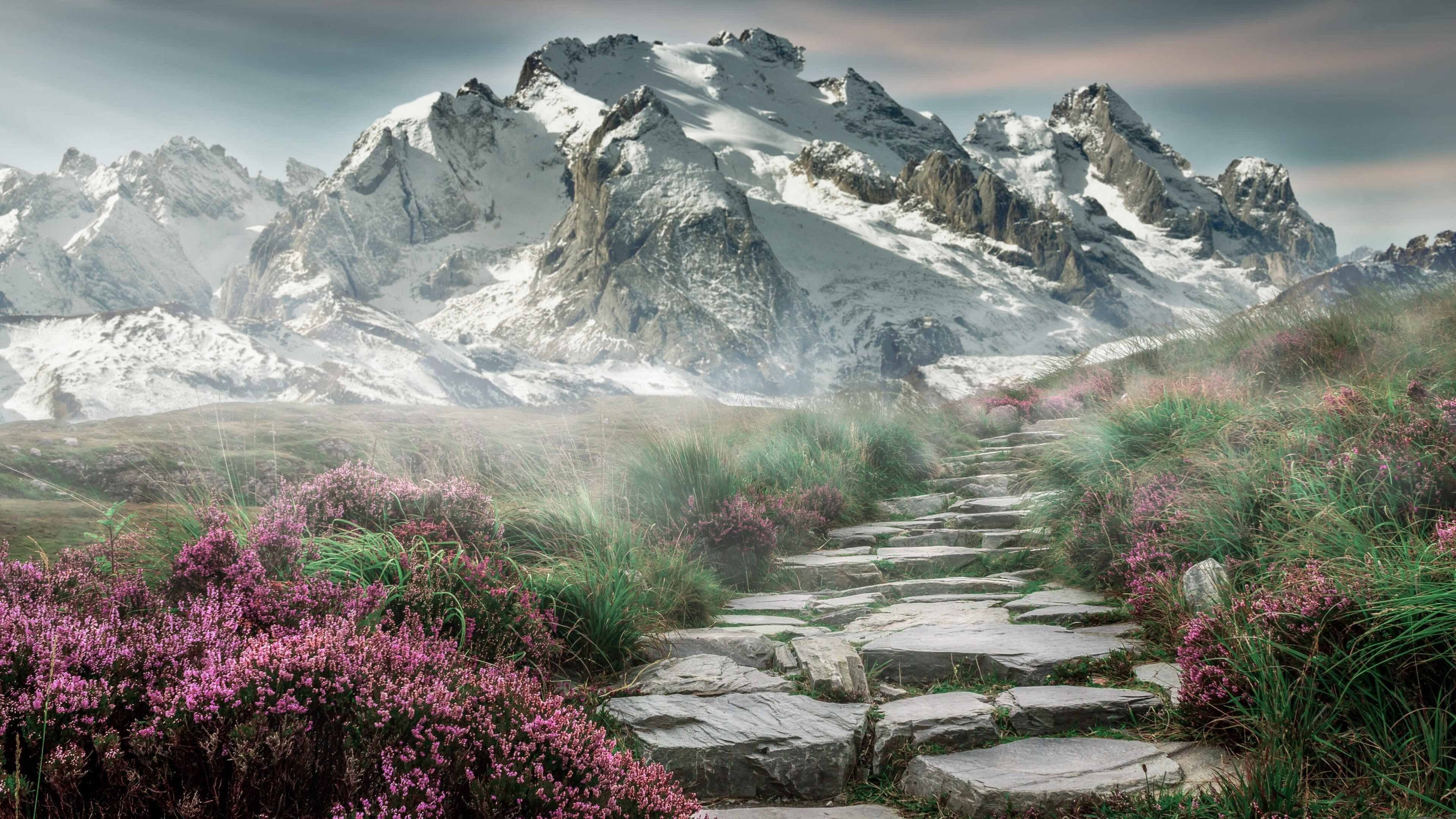 体育新闻中心发布体育短视频版权保护指南,体育短视频的传播特点