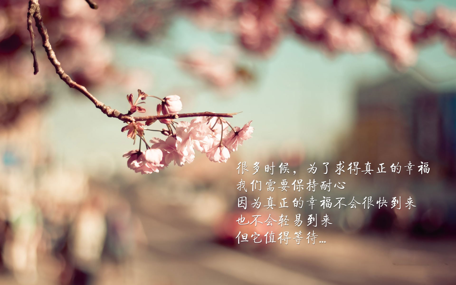 开云网址-冬奥训练营科学管理提升实力，冬奥会训练赛