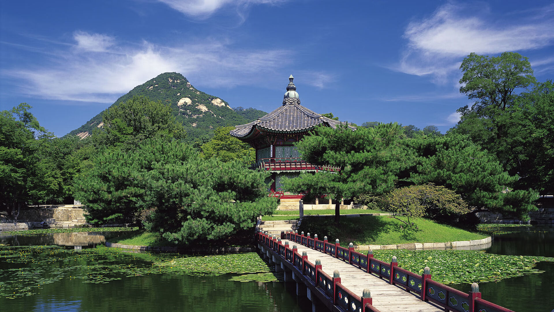 冬奥训练营科学管理提升实力，冬奥会训练赛