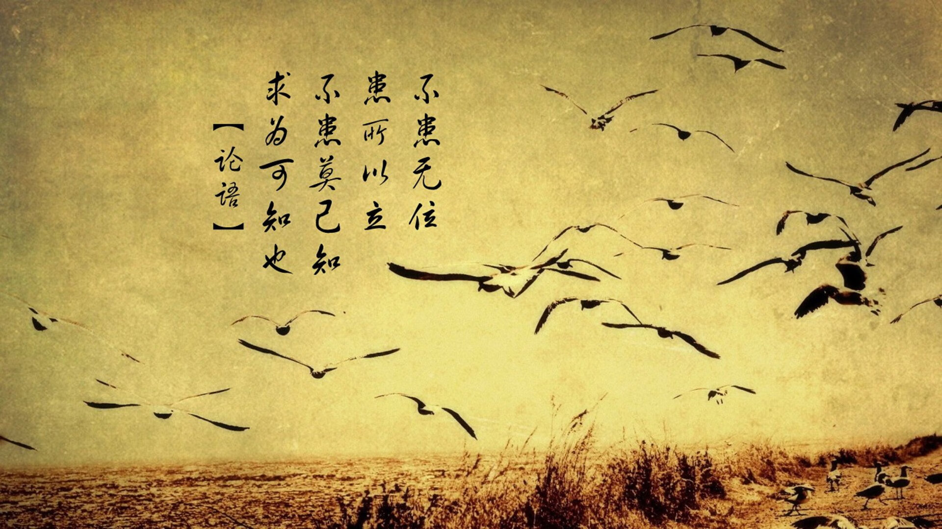 篮球赛场情绪控制训练成焦点话题，篮球比赛允许观众适度宣泄情绪