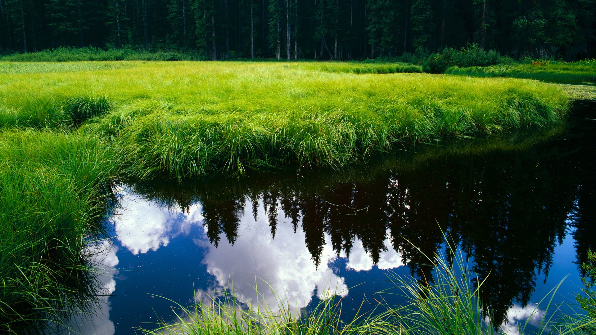 开云体育官方入口-职业选手操作细节拆解成为教学素材宝库，职业选手的操作设置