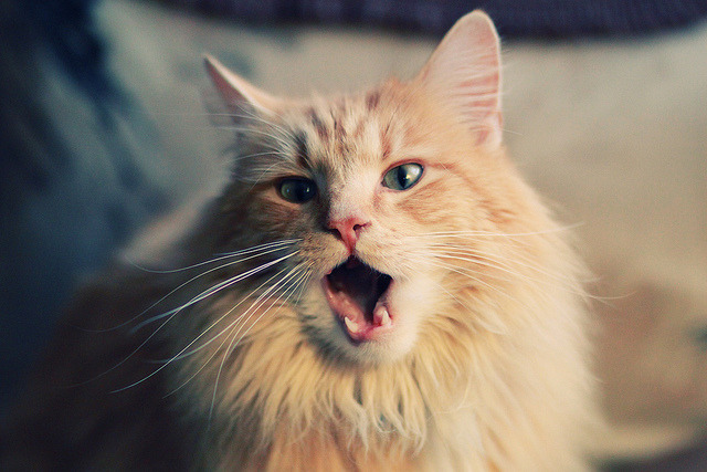 世界杯经典对阵：那些令人难忘的瞬间！，世界杯十大经典对决