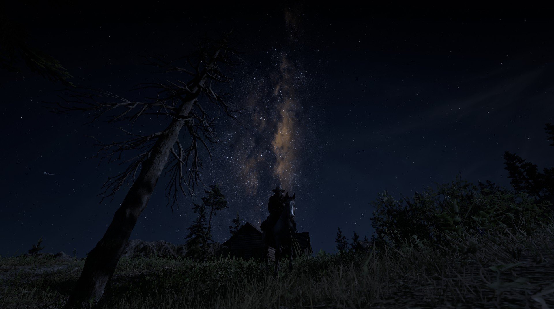 决赛焦点 阿莱克西蝶泳节奏惊艳,阿莱克西亚·阿西福特