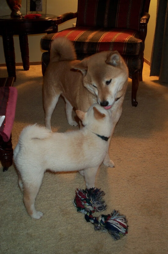 勇士核心接受伤情复查恢复顺利，勇士伤员