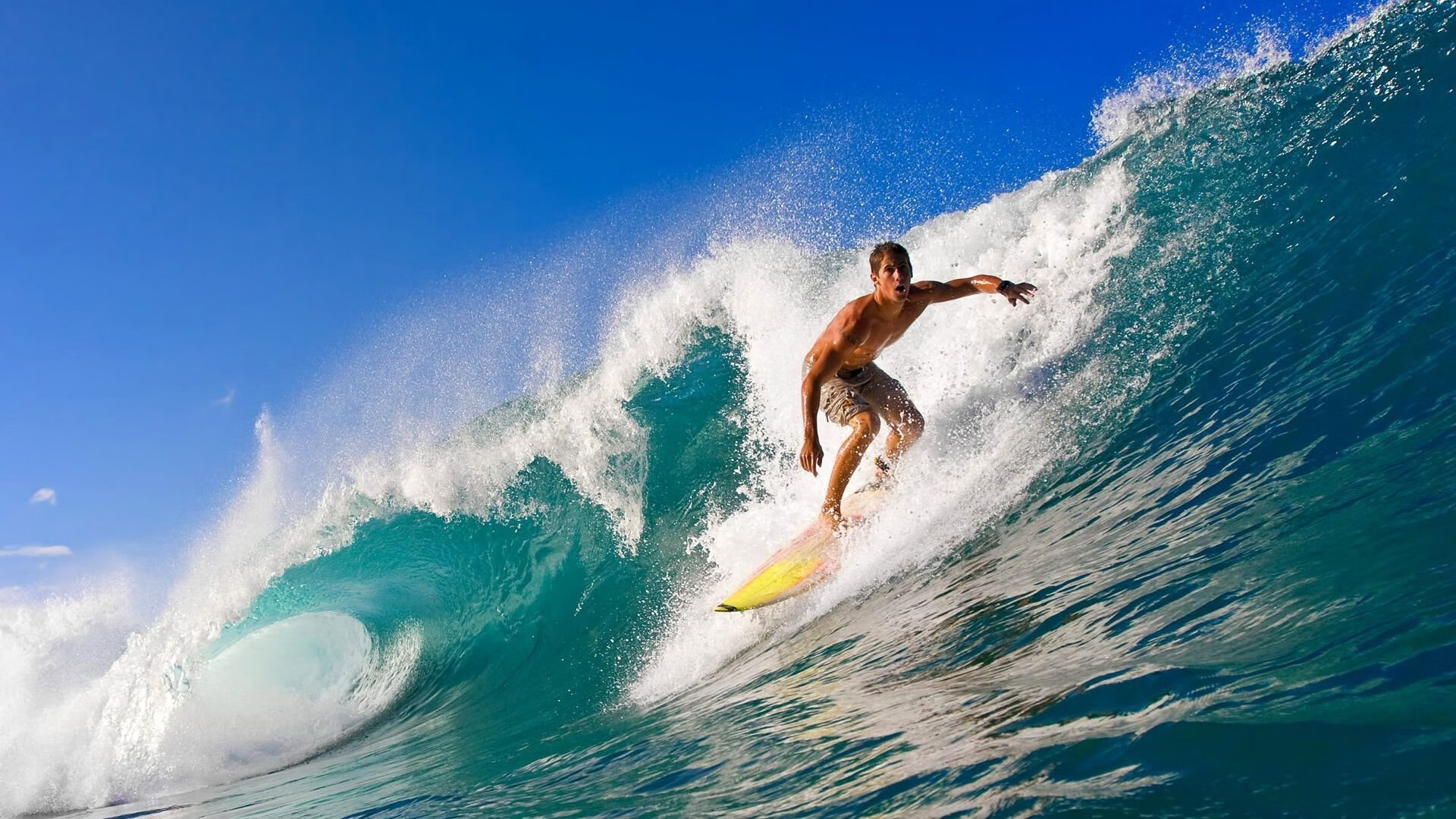 英格兰橄榄球赛事观众人数创新高，2021年英式橄榄球比赛